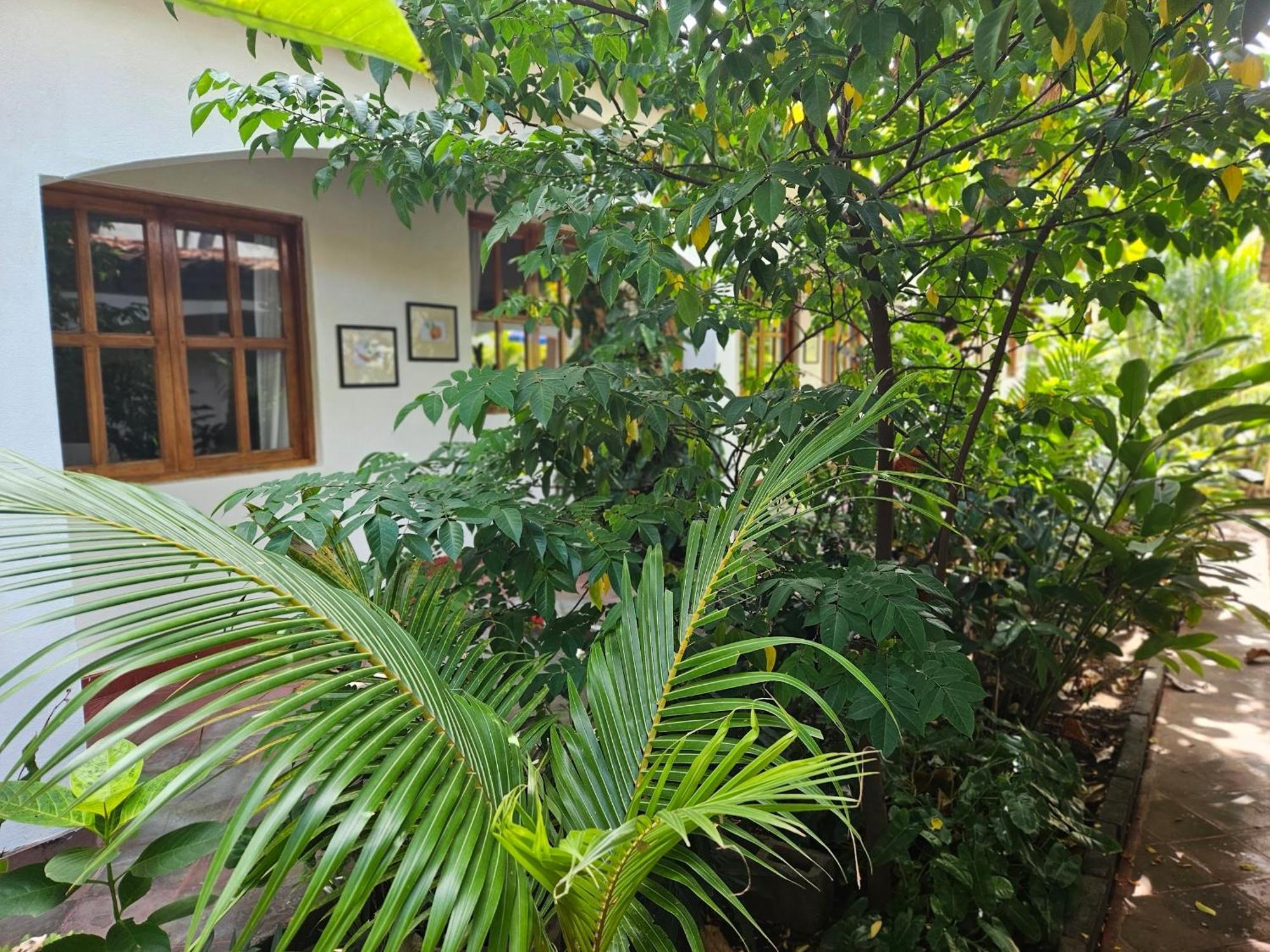 Hotel Tranquilo Las Penitas Exterior photo